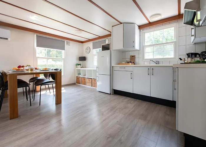 08, Ontdek Het Bosrijke Met Het Grootste Terras Nederland! * Oisterwijk